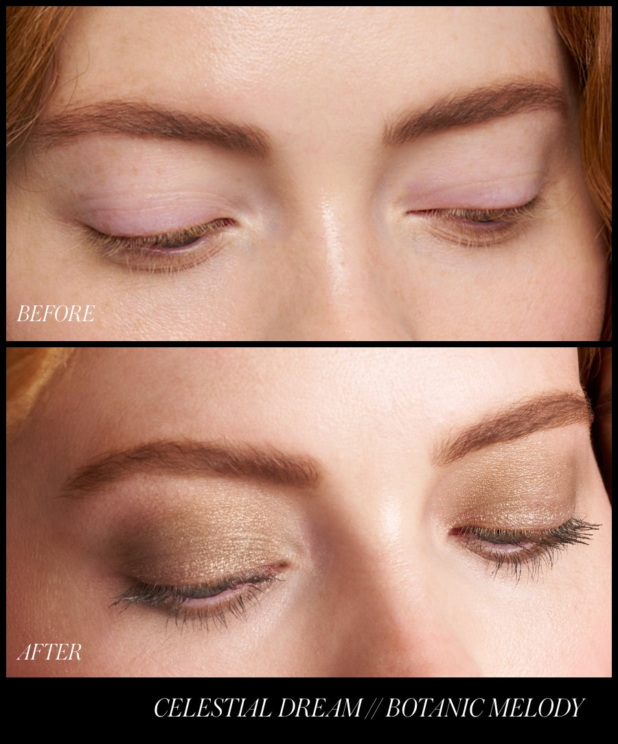 ReDimension Hydra Eyes Quartet - Everyday Essential