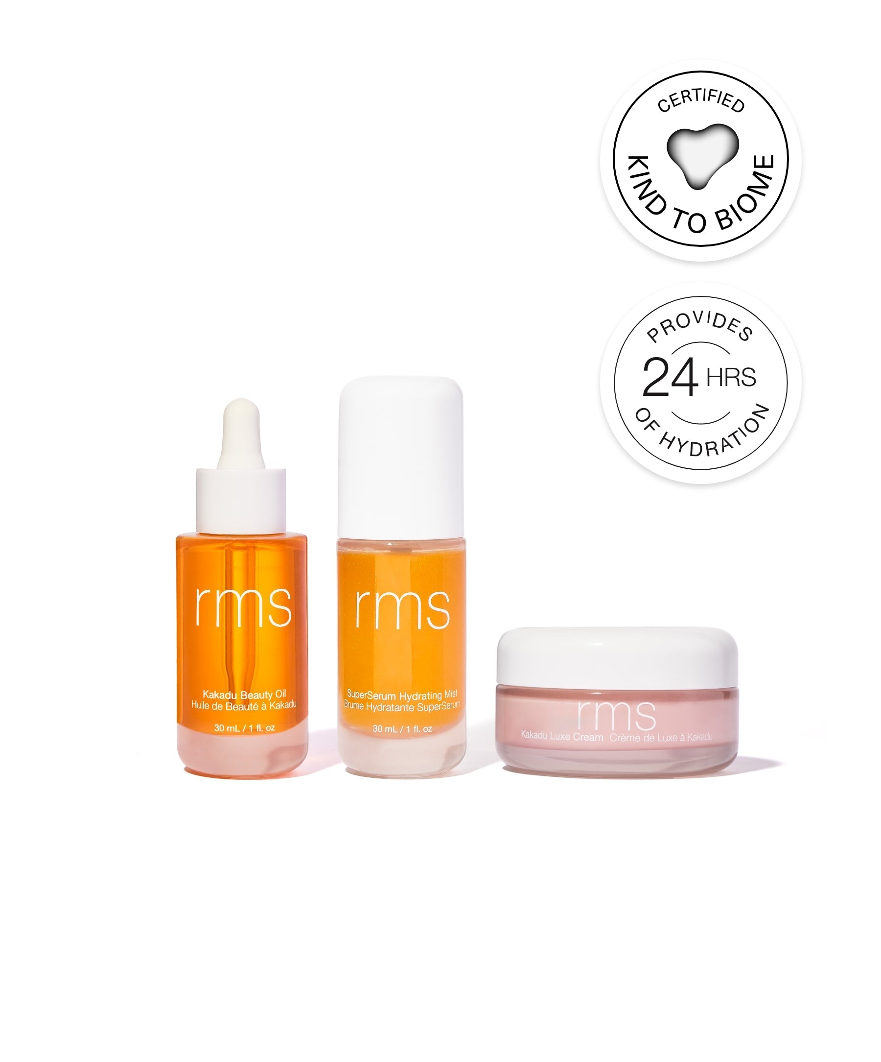 The New Skincare Lineup - Everyday Beauty Essential