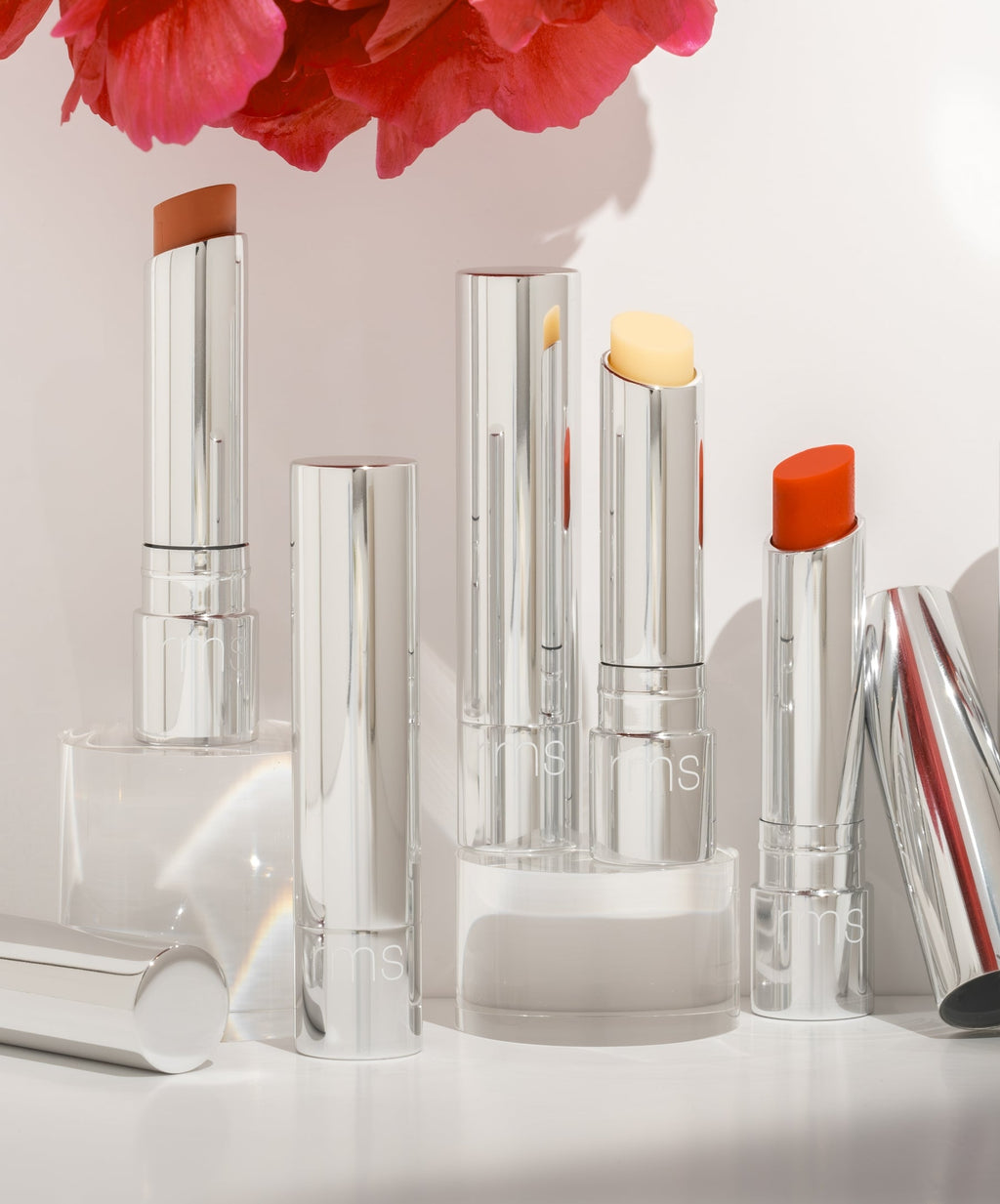 Tinted Daily Lip Balm - Everyday Beauty Essential
