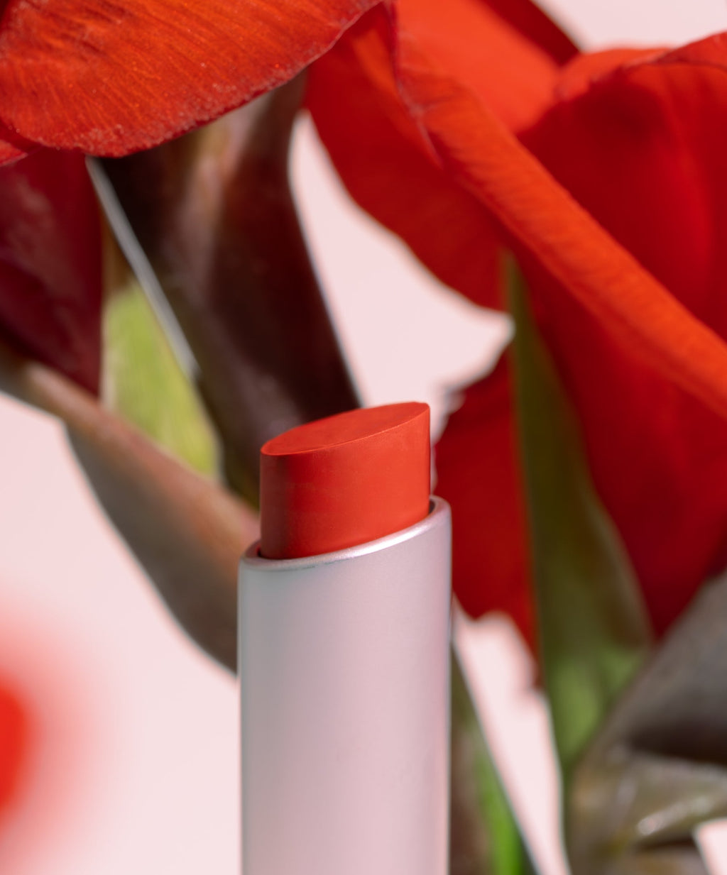 Wild With Desire Lipstick - Everyday Beauty Essential