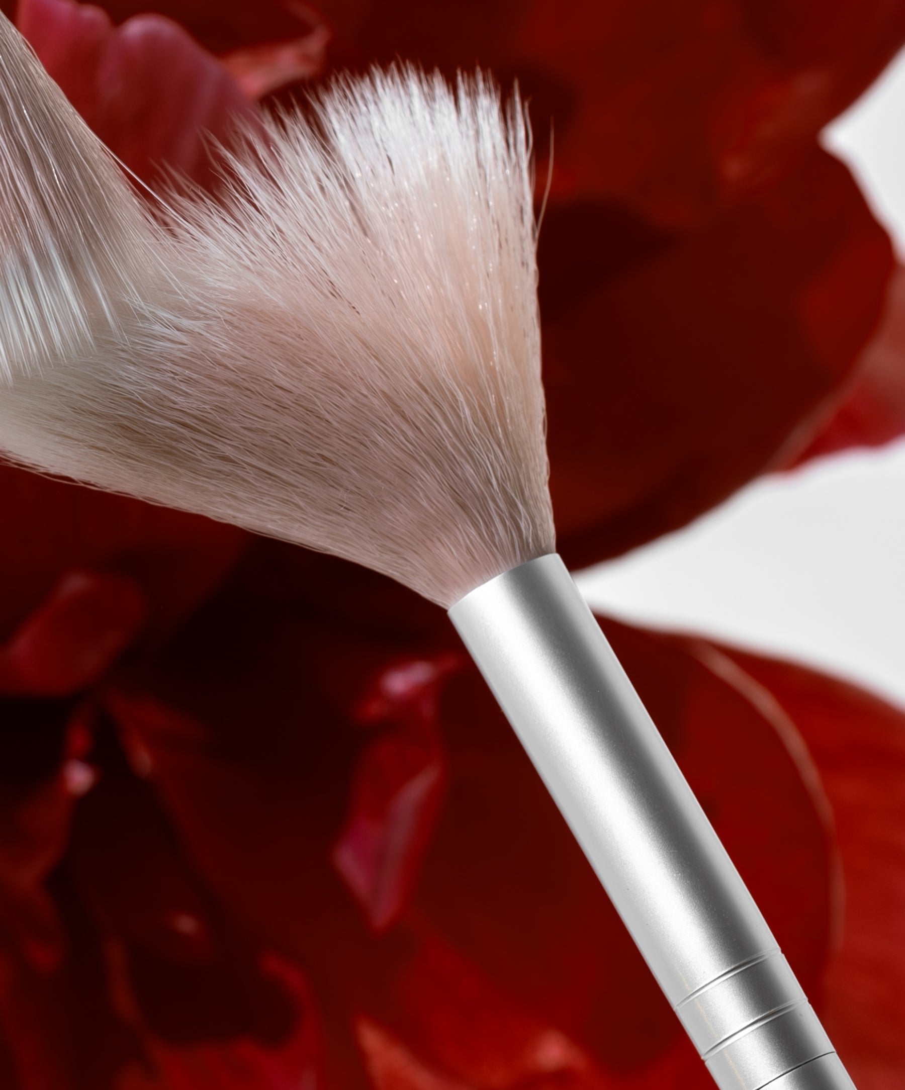 Skin2Skin Classic Fan Brush - Everyday Beauty Essential
