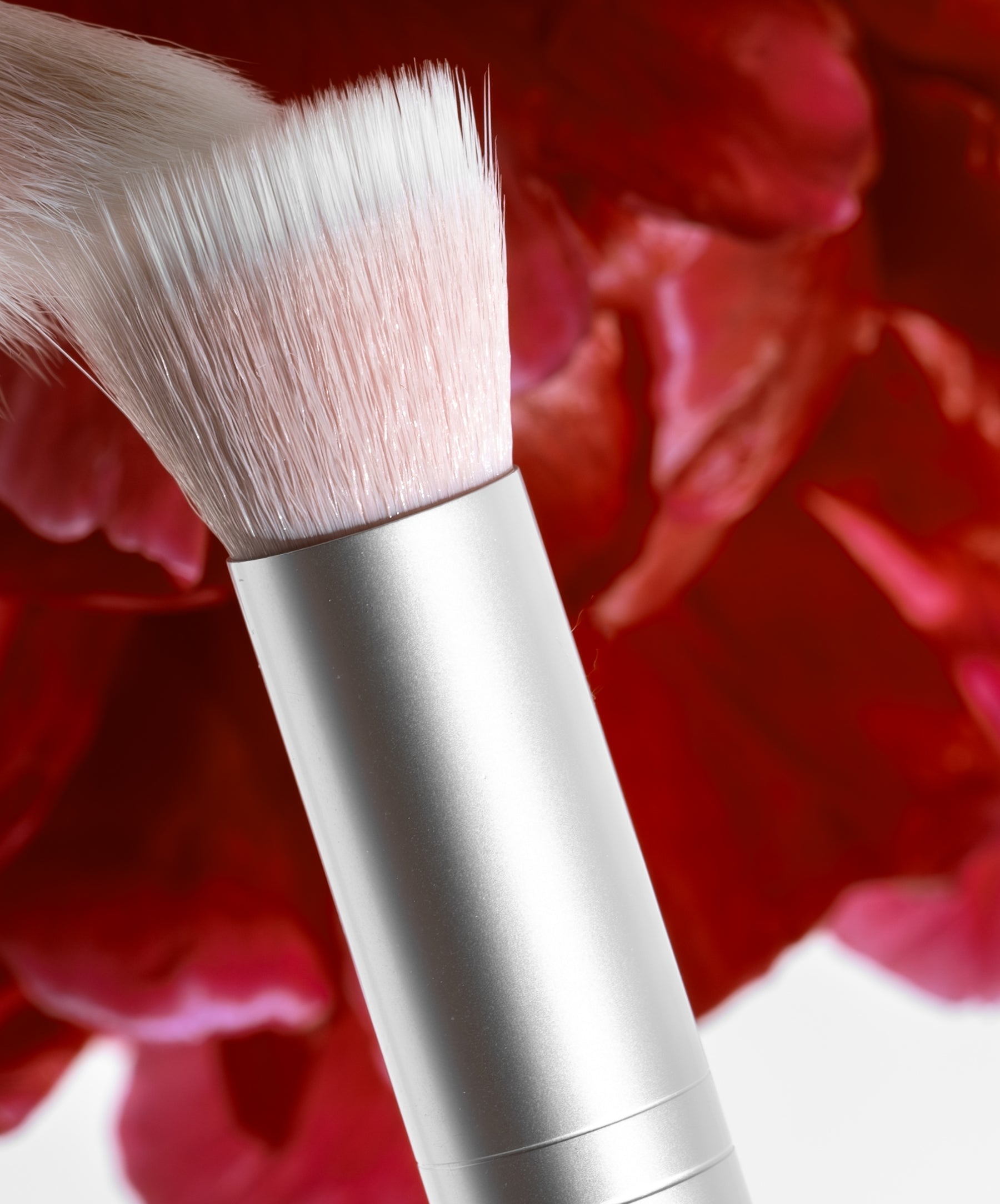 Skin2Skin Blush Brush - Everyday Beauty Essential