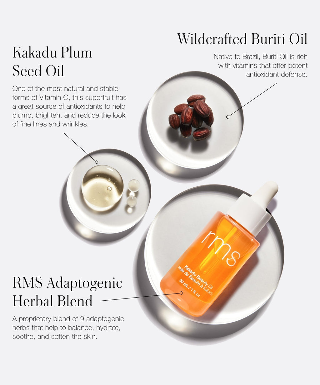 The New Skincare Lineup - Everyday Beauty Essential